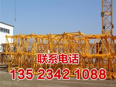 简单论述塔吊租赁市场中的机遇和风险各是什么？